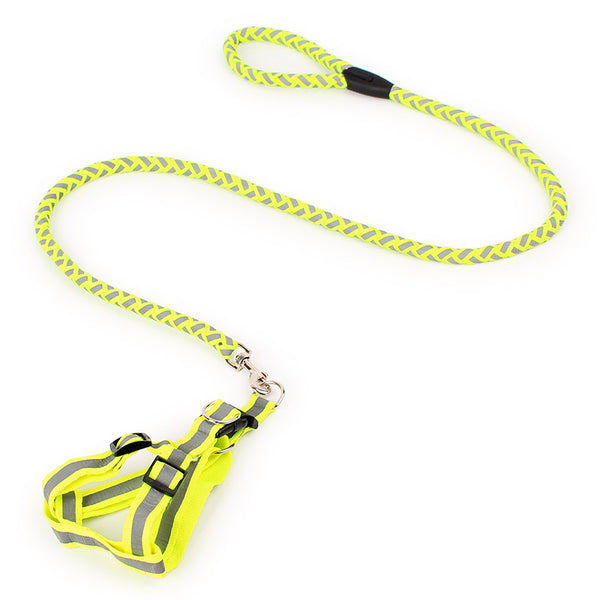 Reflective Dog Harness And Leash Set