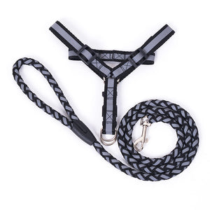 Reflective Dog Harness And Leash Set