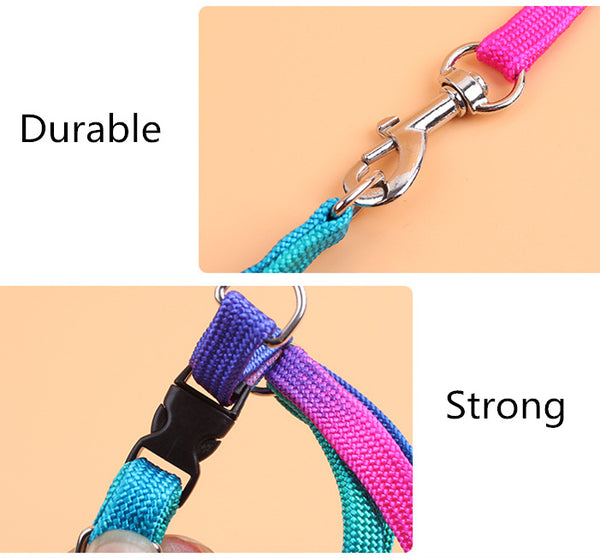 Rainbow Leash For Small Dogs