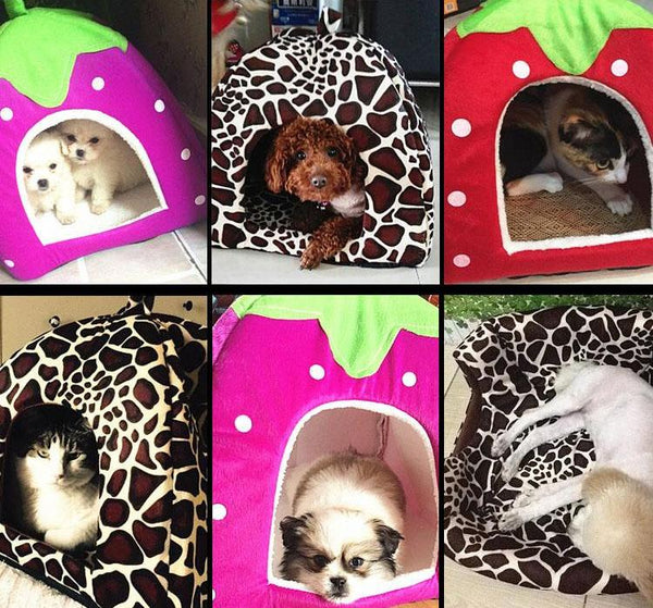 Cute Foldable Dog Bed House