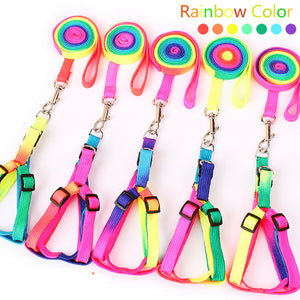 Rainbow Leash For Small Dogs