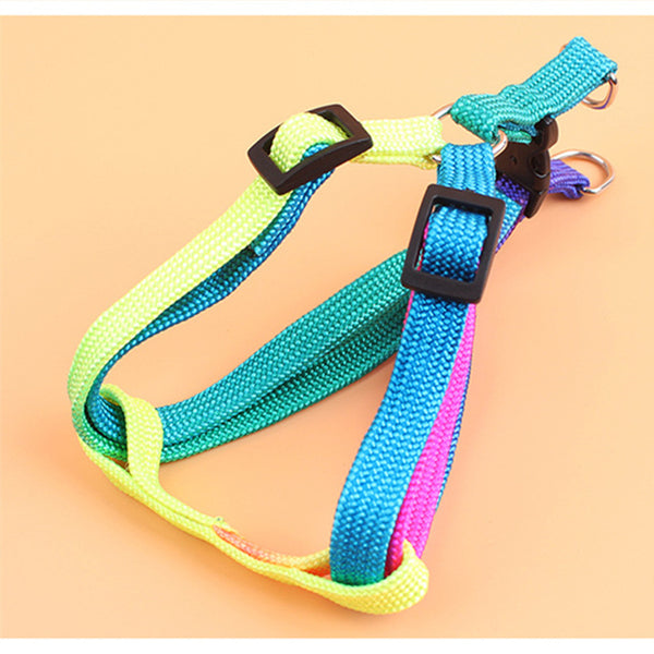 Rainbow Leash For Small Dogs