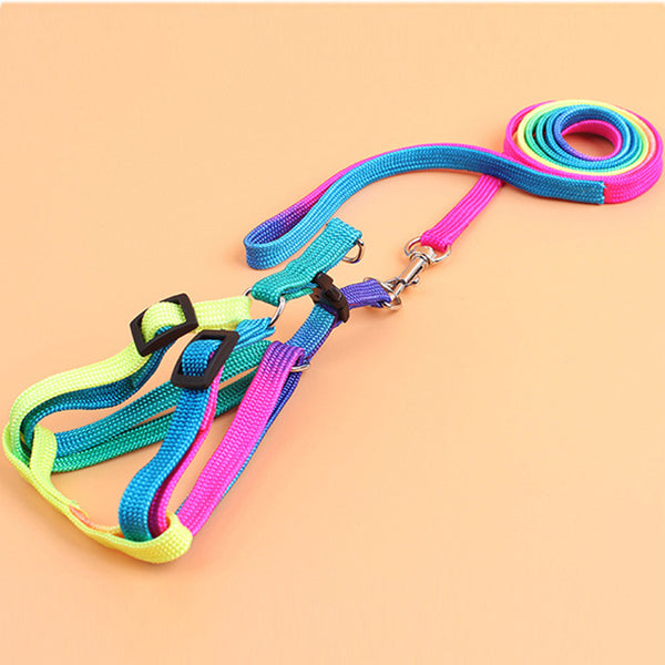 Rainbow Leash For Small Dogs